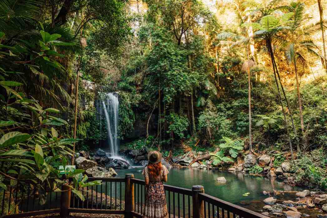 Tamborine Mountain